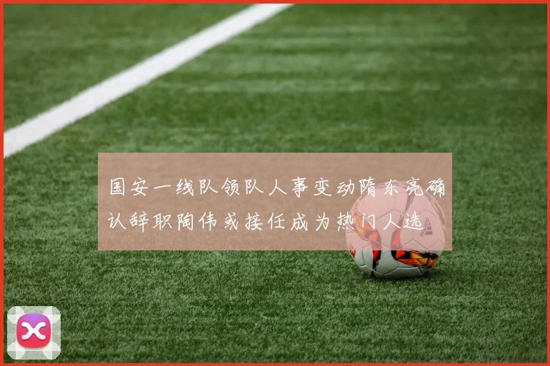 国安一线队领队人事变动隋东亮确认辞职陶伟或接任成为热门人选