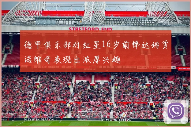 德甲俱乐部对红星16岁前锋达姆贾诺维奇表现出浓厚兴趣