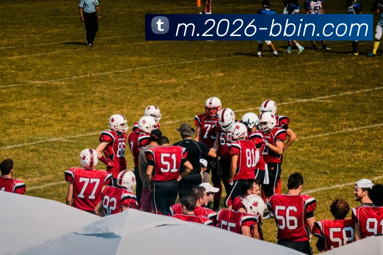 BBIN体育APP 高清赛事图